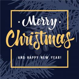 MERRY CHRISTMAS & HAPPY NEW YEAR
